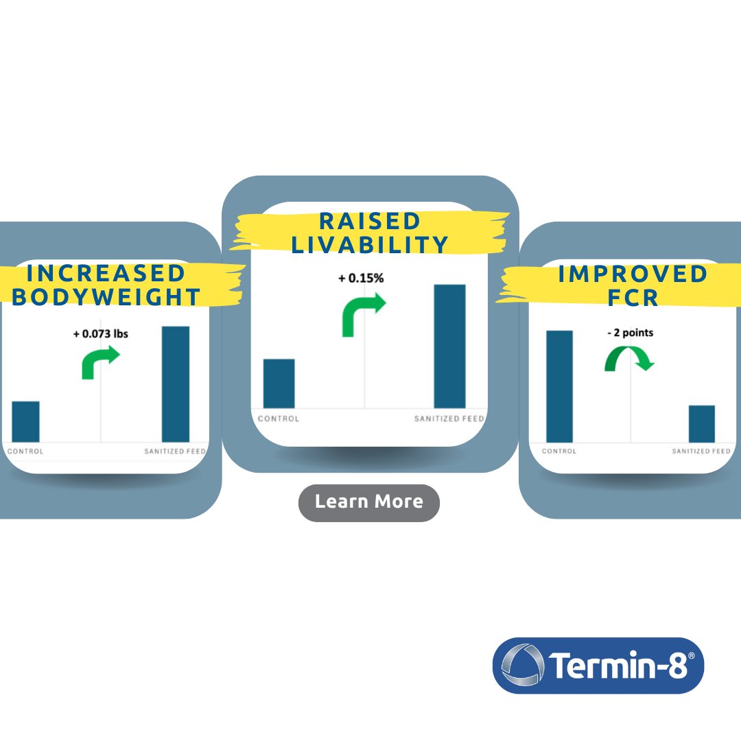 What if feed hygiene delivered a 13:1 ROI?

In a U.S. broiler trial, Termin-8 treated starter diets improved FCR by 2 pts, raised livability +0.15%, &amp; boosted BW +0.073 lb.

Clean feed isn’t just safe, it’s profitable.
hubs.ly/Q03Qv8YD0