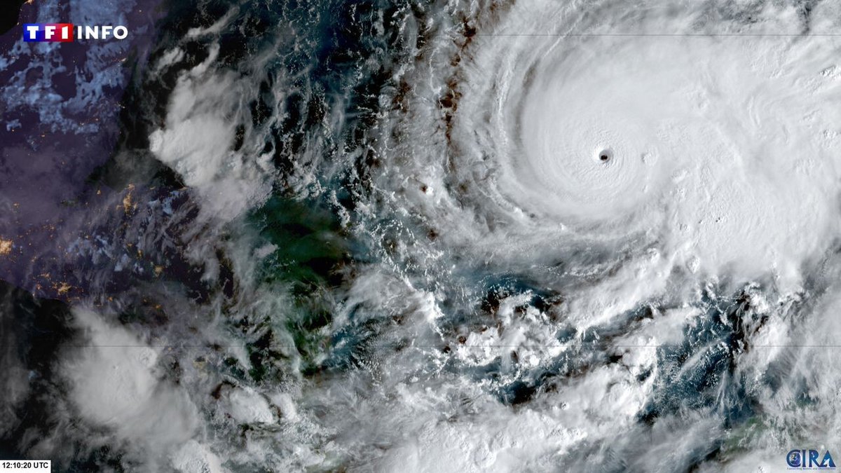 TF1Info's tweet image. EN DIRECT - Melissa : l&apos;ouragan tout proche de la Jamaïque, des vents à 295 km/h attendus
➡️ l.tf1info.fr/0gk