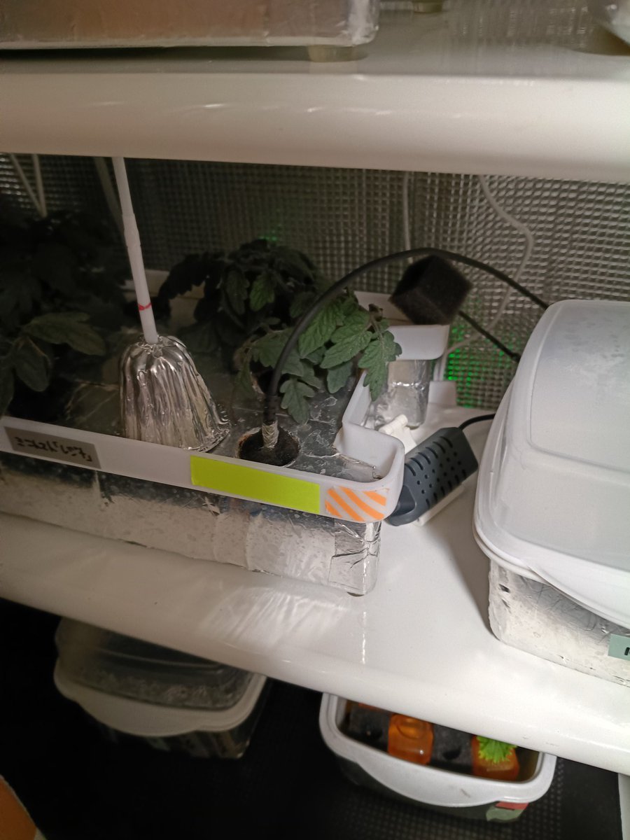 satoru36veget's tweet photo. Amazonセールで温湿度計買い足しました。今度は温湿度プローブ。以前の温度プローブはラップして水温測定することに。
#水耕栽培
#家庭菜園
#Inkbird https://t.co/3fYS7IyNua