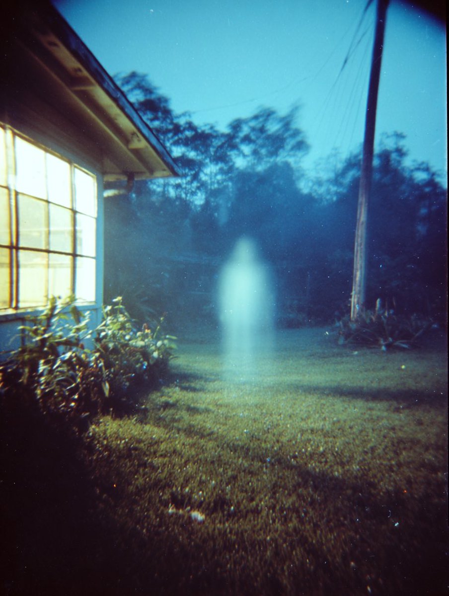 chaton_app's tweet image. Do they exist??

#SpookyScarySunday #spookymonth #scary #ghost