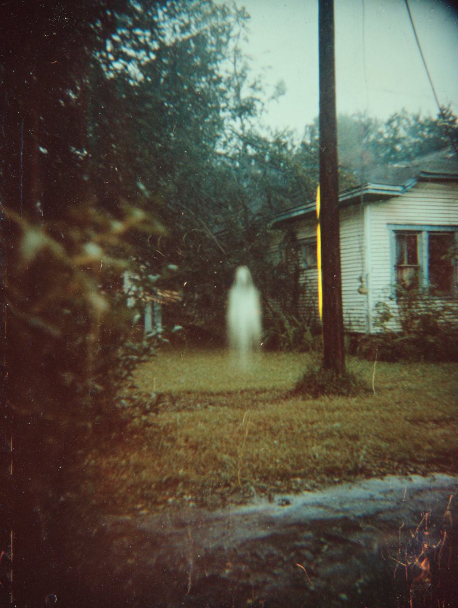 chaton_app's tweet image. Do they exist??

#SpookyScarySunday #spookymonth #scary #ghost