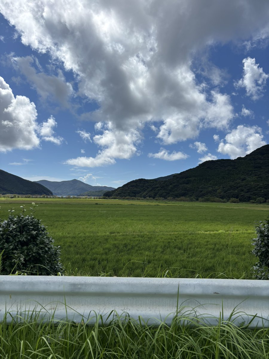 ْ (@shechannn_) / Posts / X