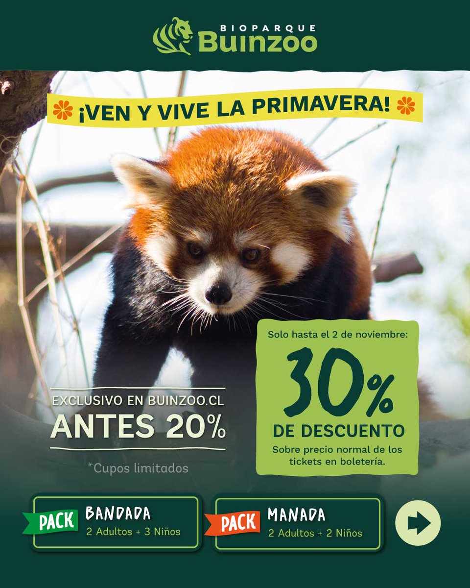 Buin_Zoo's tweet photo. ¡Los esperamos este fin de semana XL! 🙌
Ven a aprender y disfrutar en familia junto a más de 2.000 animales 🐒🐍

Aprovecha el descuento exclusivo de un 30% sólo en packs familiares 👉 https://t.co/uhVO3vIArU https://t.co/hKlxBbw3iW