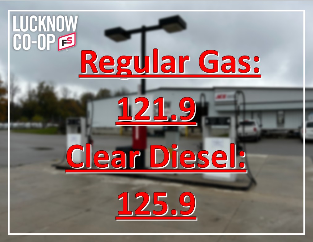 Lucknow Co-op (@lucknowcoop) on Twitter photo 