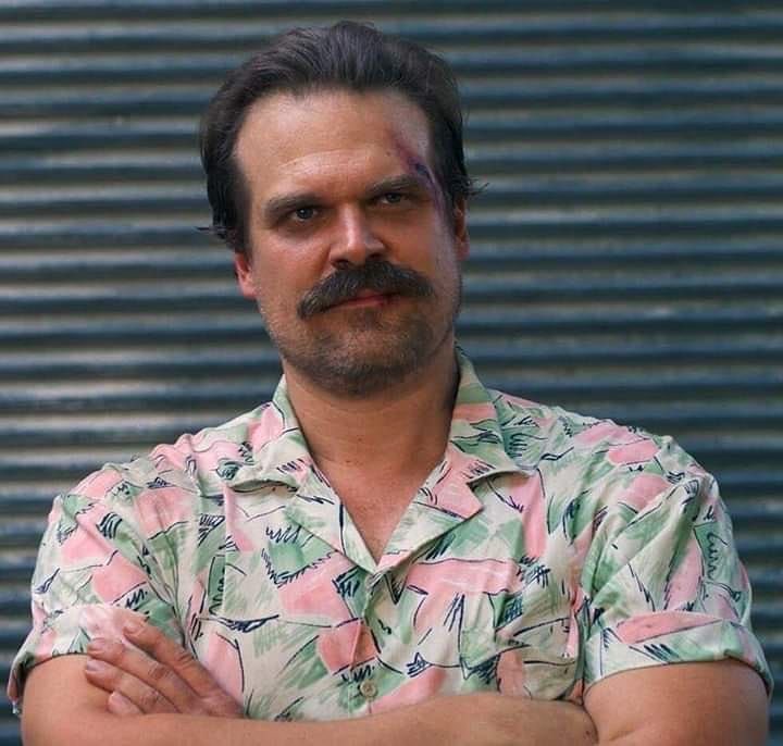 DavidsHub_'s tweet image. My favorite David’s  projects ❤️‍🩹 #davidharbour