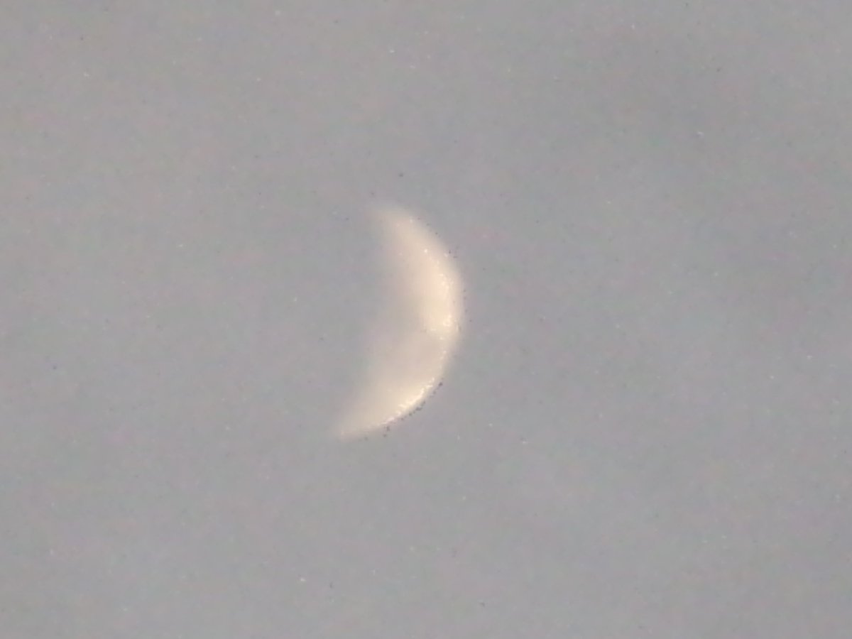 のりちゃん2 on X