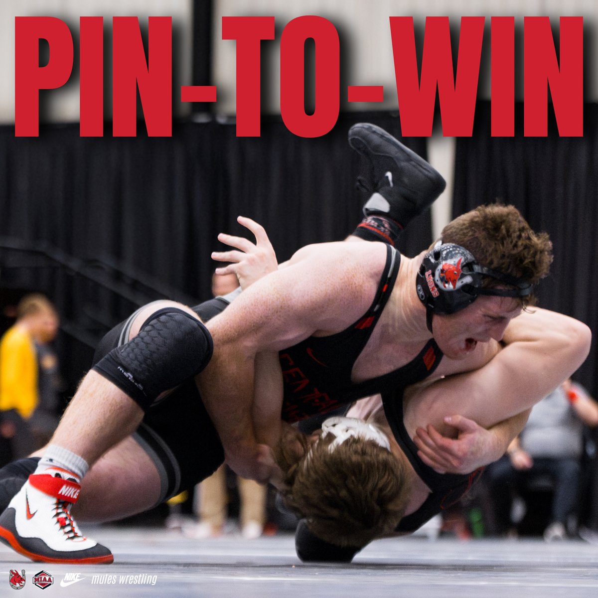 UCMwrestling's tweet photo. Competition starts this Sunday — and we’re hitting the mat with purpose!
Join us and pledge to our Pin to Win Campaign to support every pin this season.
Every match counts.
Click the link below for more info!
https://t.co/bdB4X1l8qN
#SaddleUp #MulesWrestling #PintoWin https://t.co/aUxf1zMD4o