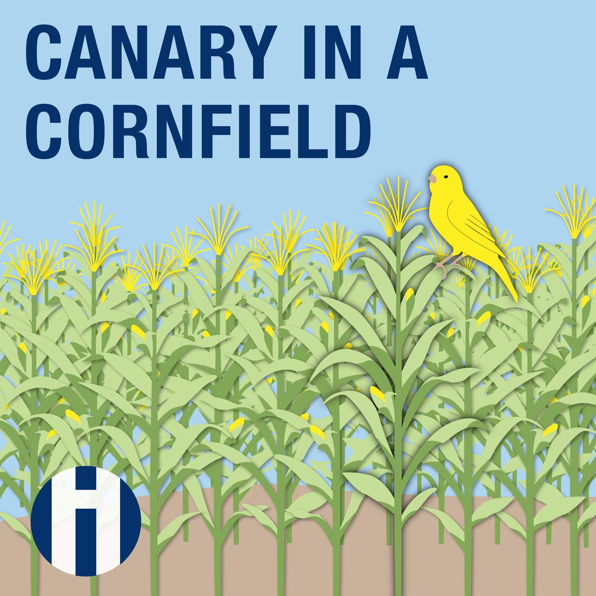 HarkinAtDrake's tweet photo. New episode alert! What’s next for animal welfare in farming? This week on Canary in a Cornfield, we talk with Anna Pesek of Over the Moon Farm and Kara Shannon of the ASPCA about the future of farm animal welfare, sustainable agriculture, and the policies shaping both. https://t.co/scRtkuzyvl