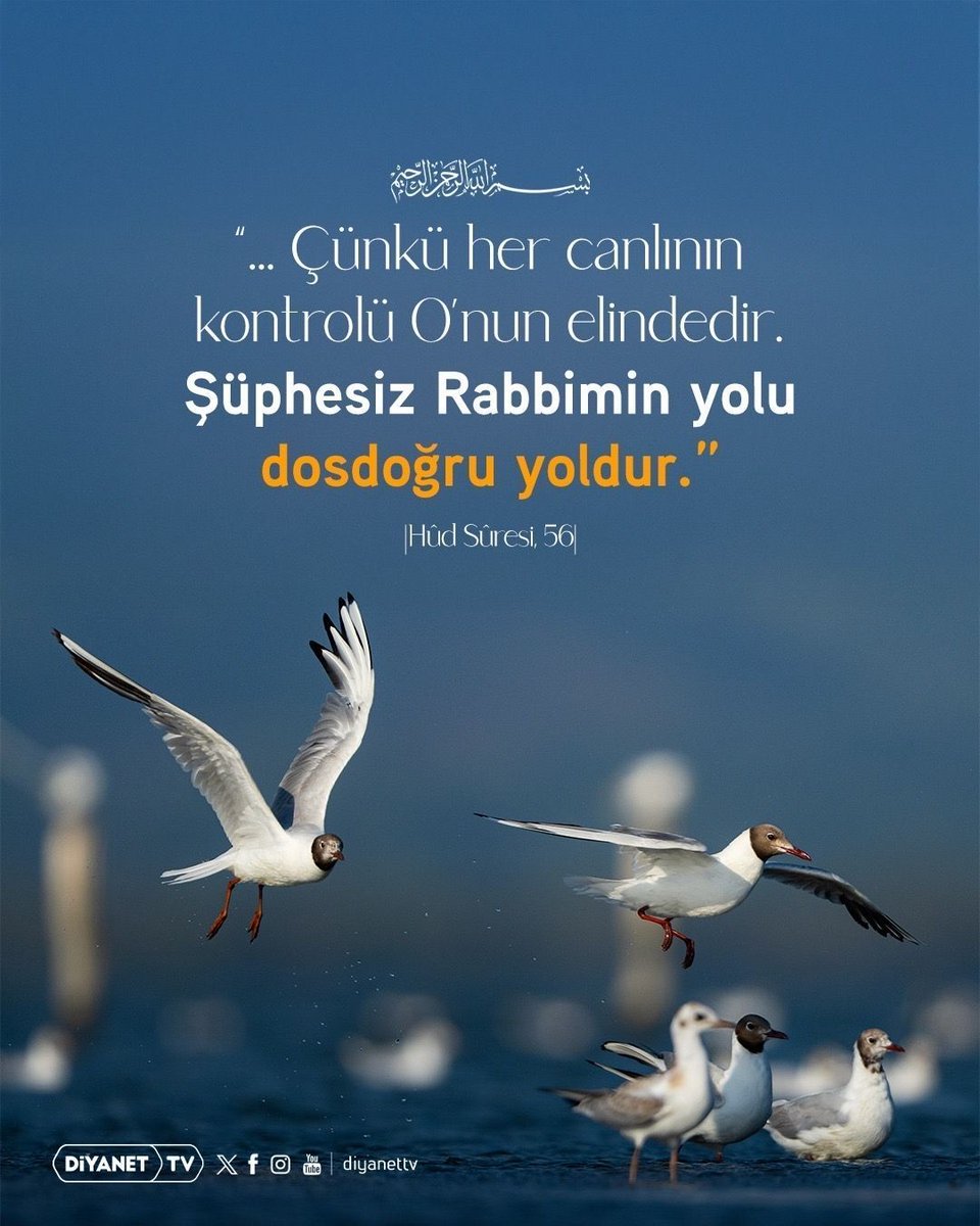 Rahmân ve Rahîm olan Allah'ın adıyla

❝... Çünkü her canlının kontrolü O’nun elindedir. Şüphesiz Rabbimin yolu dosdoğru yoldur.❞

[Hûd Sûresi, 56]