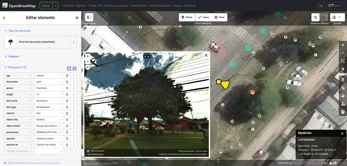 openmapchile (OMCh) (@openmapchile) on Twitter photo 🪵🪵🌳 <a href="/munivaldivia/">MuniValdivia</a> Mutilación de copas en plazuela de #Valdivia-Chile. Maitén y Castaño de Indias, tenia 13 m de diámetro de copa. Detengan el daño al arbolado urbano, no se justifican estas intervenciones. #AUPV 🪵🪵🌳 <a href="/munivaldivia/">MuniValdivia</a> Mutilación de copas en plazuela de #Valdivia-Chile. Maitén y Castaño de Indias, tenia 13 m de diámetro de copa. Detengan el daño al arbolado urbano, no se justifican estas intervenciones. #AUPV