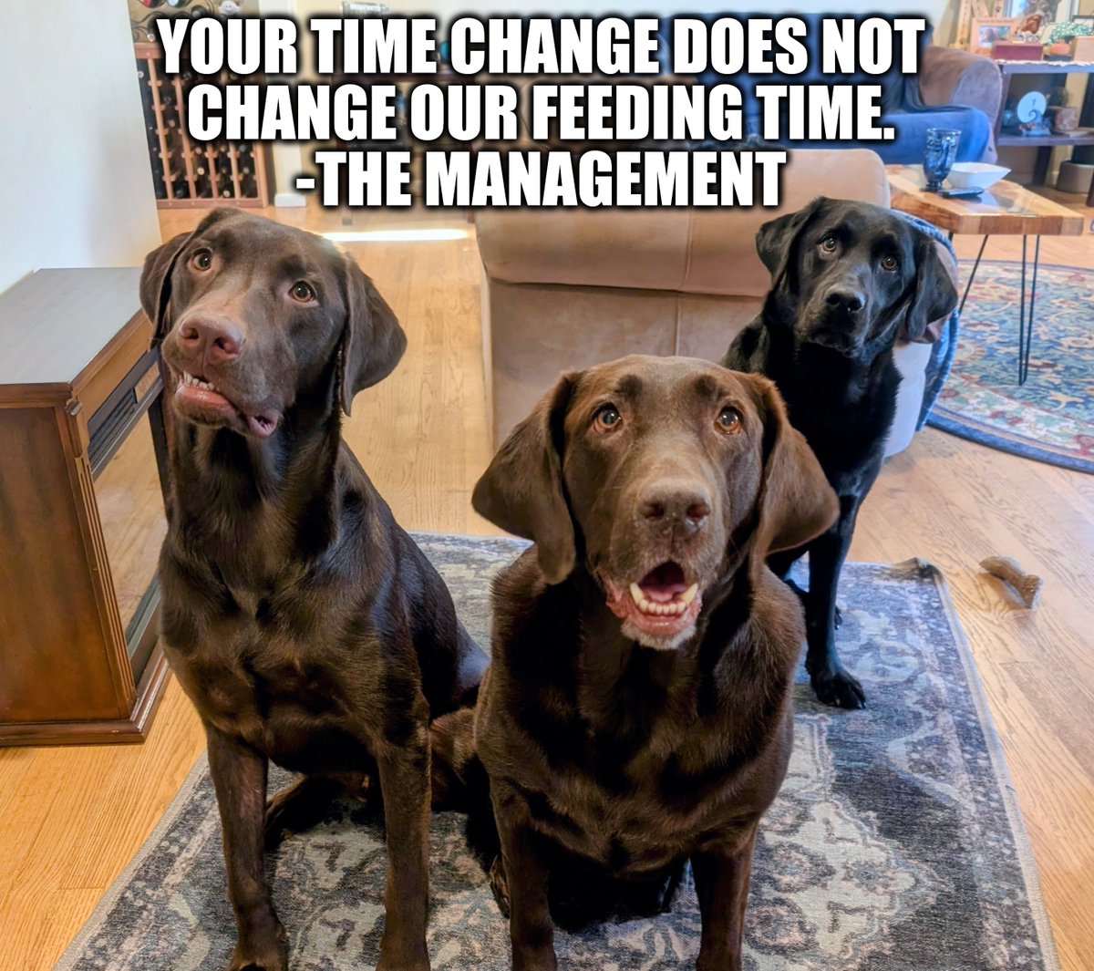 On behalf of pets everywhere, don't forget to turn your clocks BACK one hour tonight.