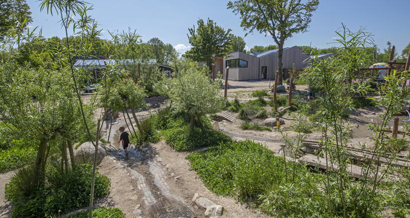 PERSBERICHT | Subsidie voor leefbaarheid op het platteland

Een fijn leefklimaat in onze provincie is belangrijk. Goede ideeën die hieraan bijdragen kunnen in aanmerking komen voor een financiële bijdrage vanuit het Europese subsidieprogramma LEADER.

➡️ zeeland.nl/actueel/subsid…