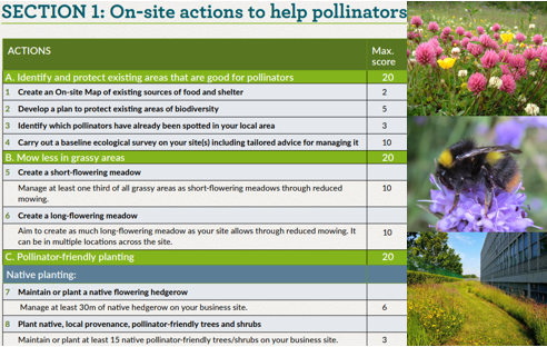 All-Ireland Pollinator Plan tweet media