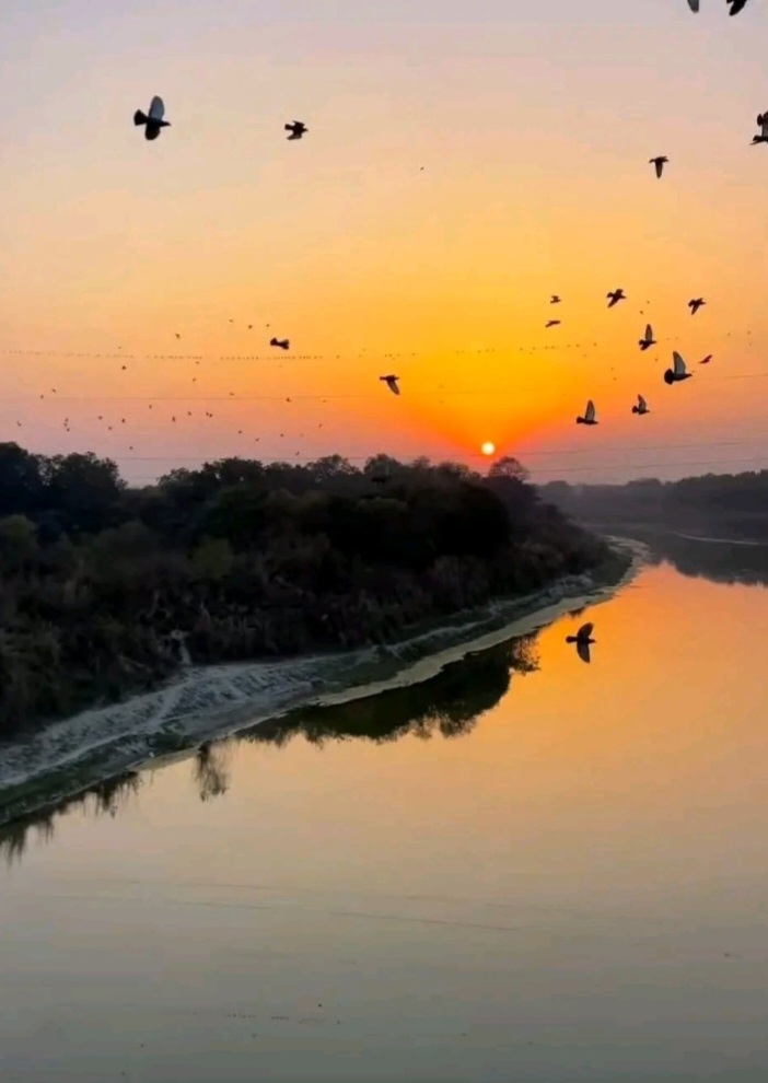 Internet_Human's tweet image. 🕉