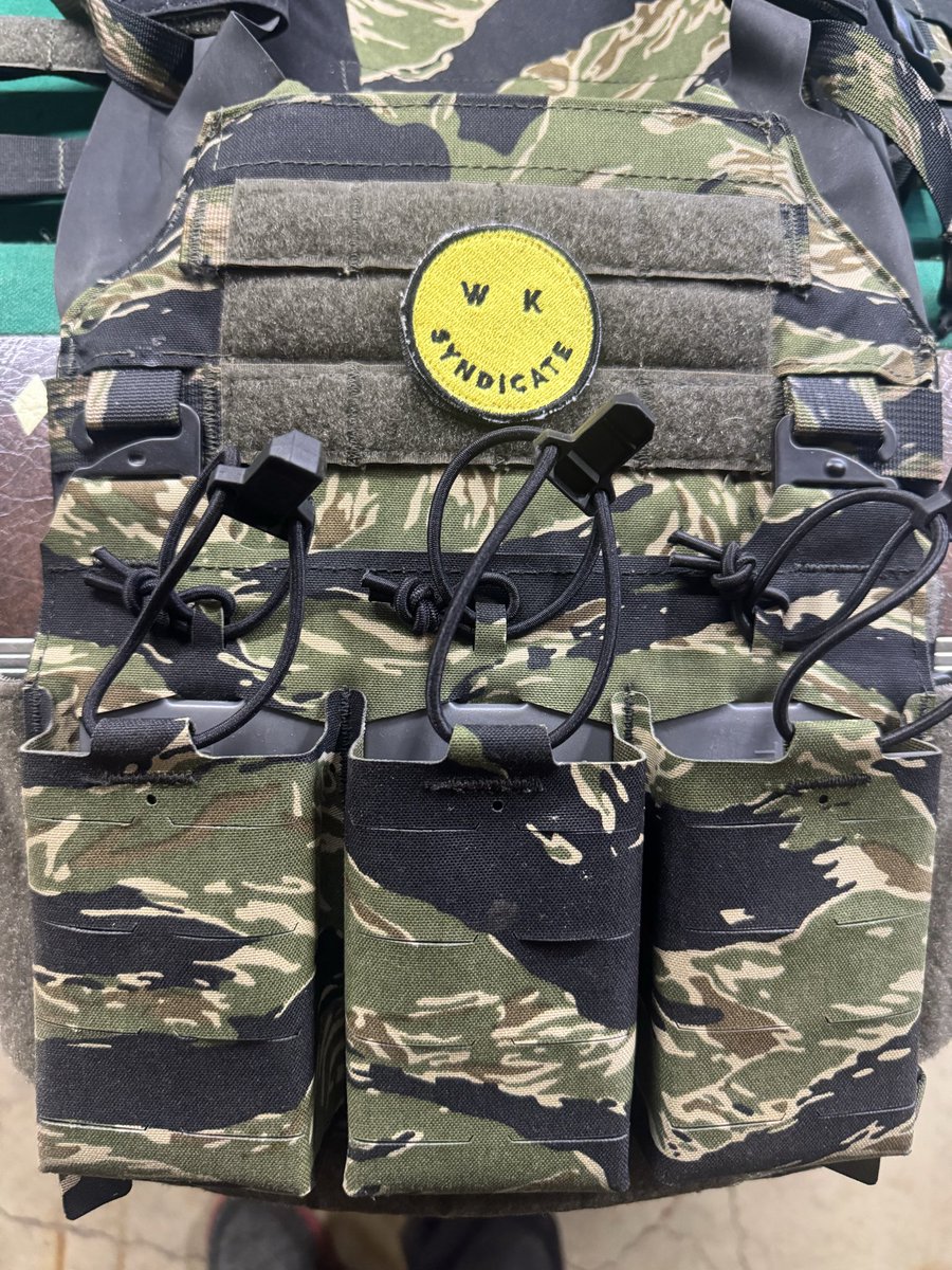 I showed you my tiger stripe plate carrier. 

Plz respond.