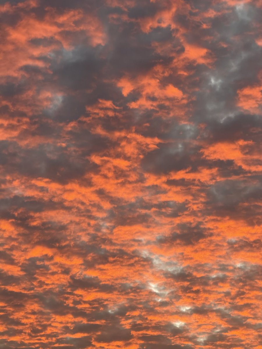 gavinloo61's tweet image. 