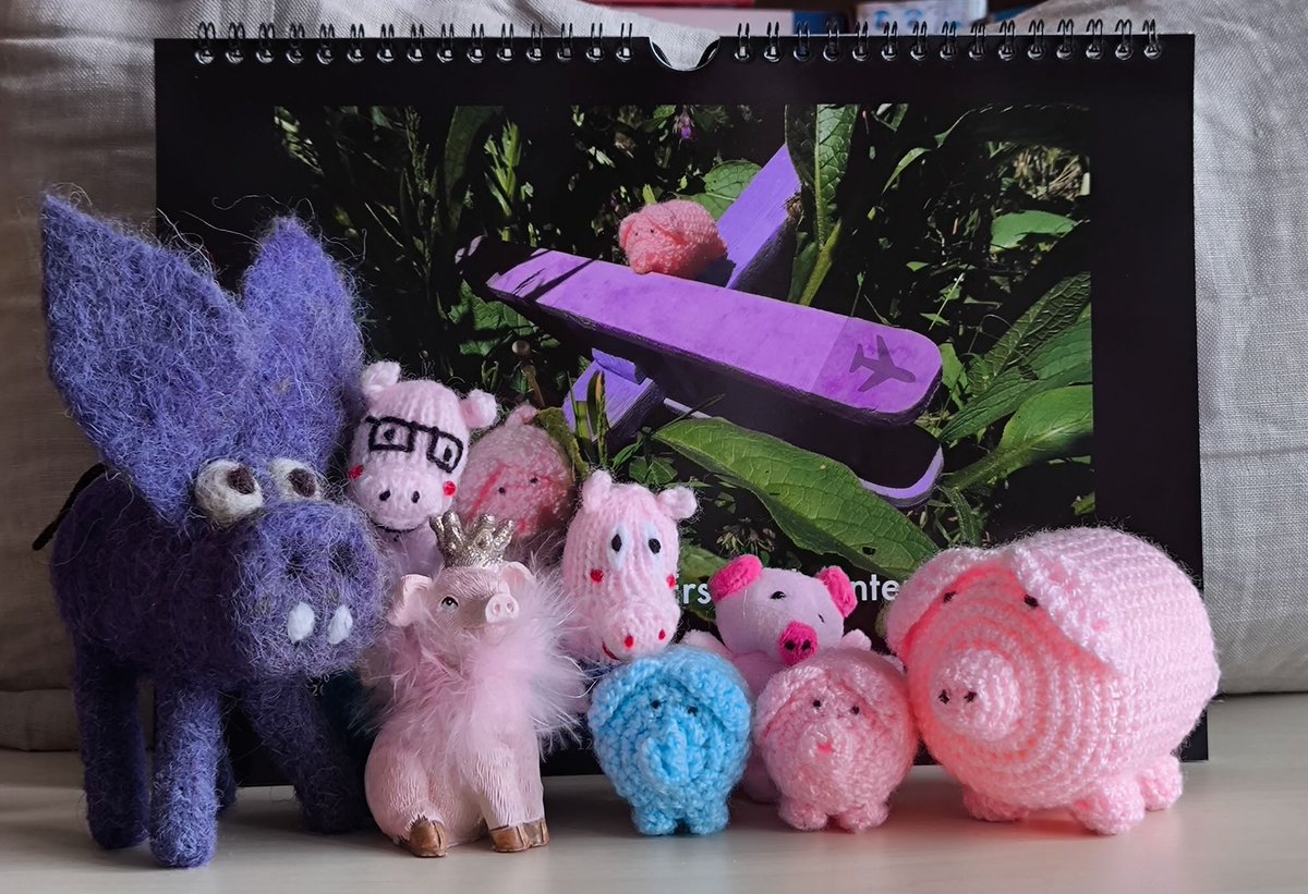 Dieser Kalender wird von führenden Schweinchen empfohlen.

haekelschwein.de/kalender

#haekelschwein