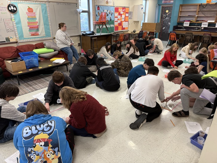 mtwashingtonms's tweet image. Battle of the Beaks lab in 8th grade science with Mrs. Loudermilk, Ms. Greenwell and Mrs. Hoben! 

Who knew natural selection could be so competitive! 

#GeneralsLEAD
#ForTheMount