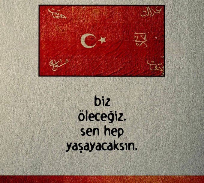 Bürküt. (@hurriyetulan) on Twitter photo 