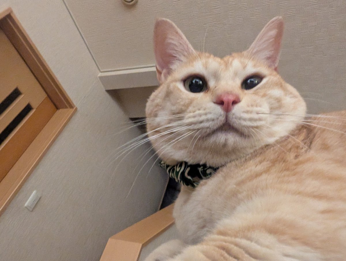 ベック 【公式】 on X