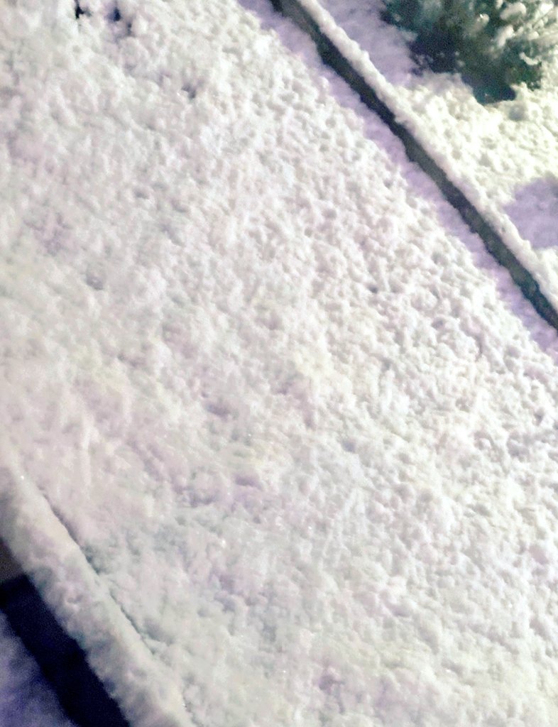 ぺぺページ ぺぺちの (@pepe_cino02) / Posts / X