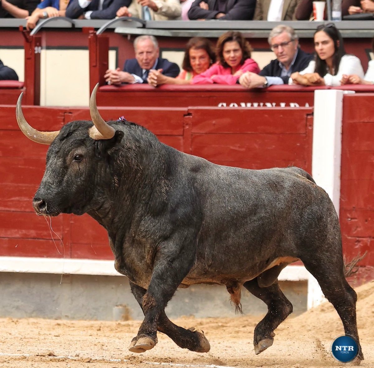 Fuchiqueras (@fuchiqueras) on Twitter photo 