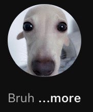 augment (@agmnt_) on Twitter photo 