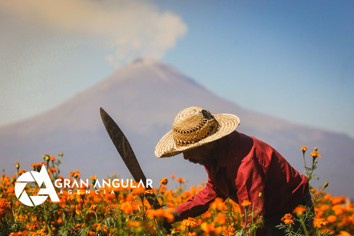 Gran Angular tweet media