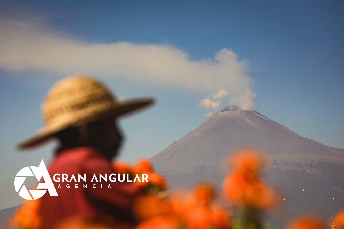 Gran Angular tweet media