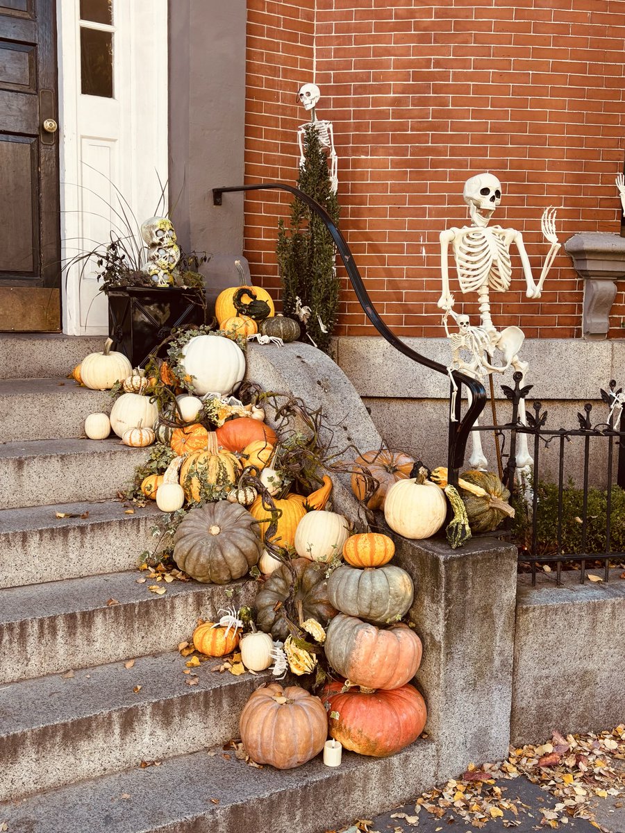 Mr Tom Slattery tweet media