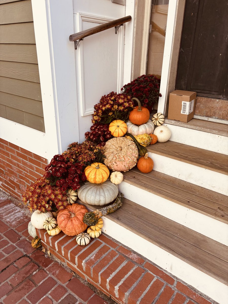 Mr Tom Slattery tweet media