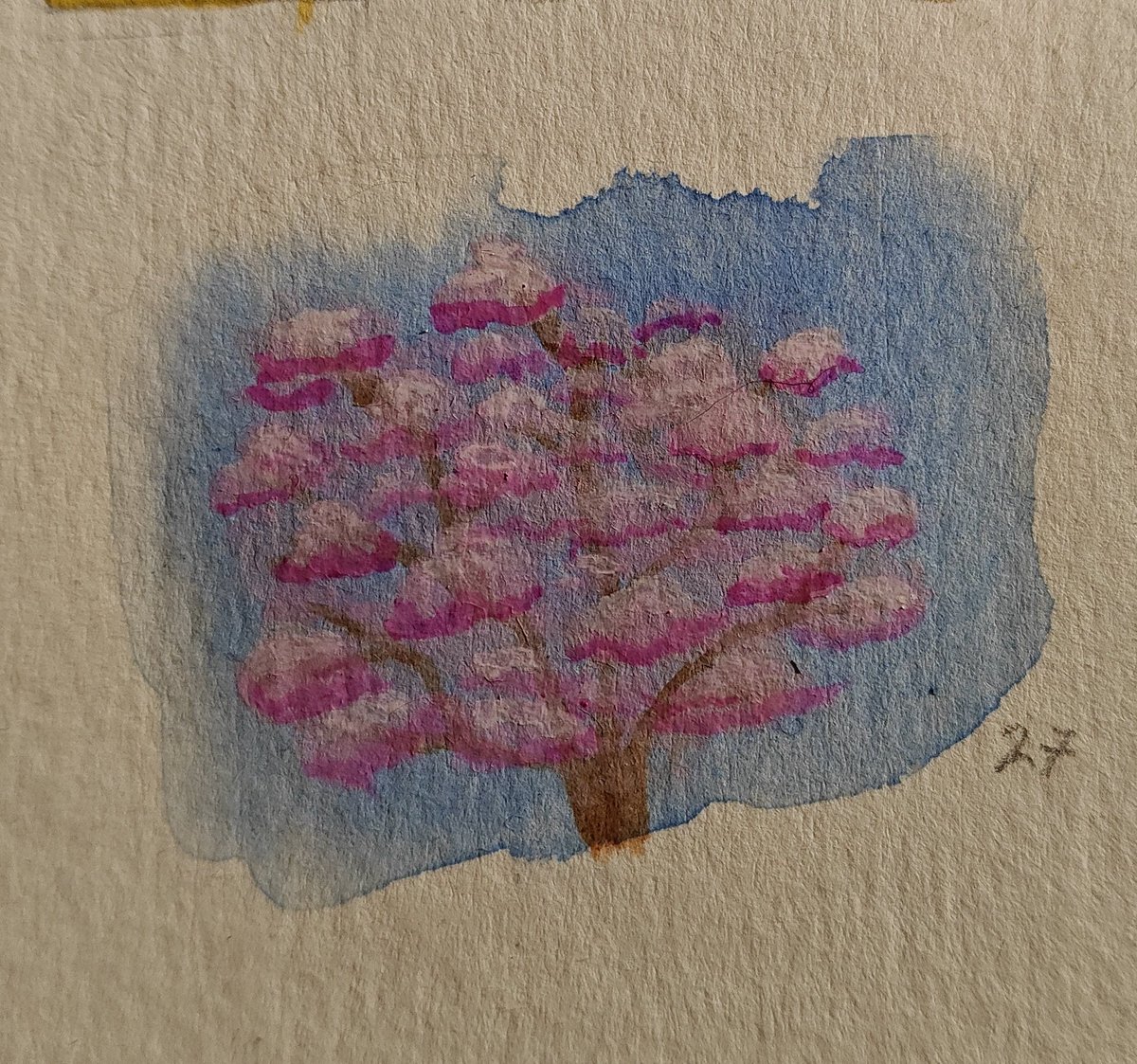 Day 27 (Sakura)
<a href="/Ravnersity/">RAVNersity 🌹</a> #RAVN #ROSES #RAVNtober2025