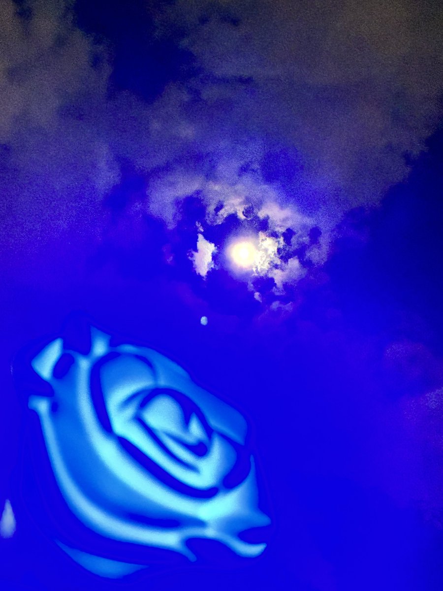 さく (@sakurat039) / Posts / X