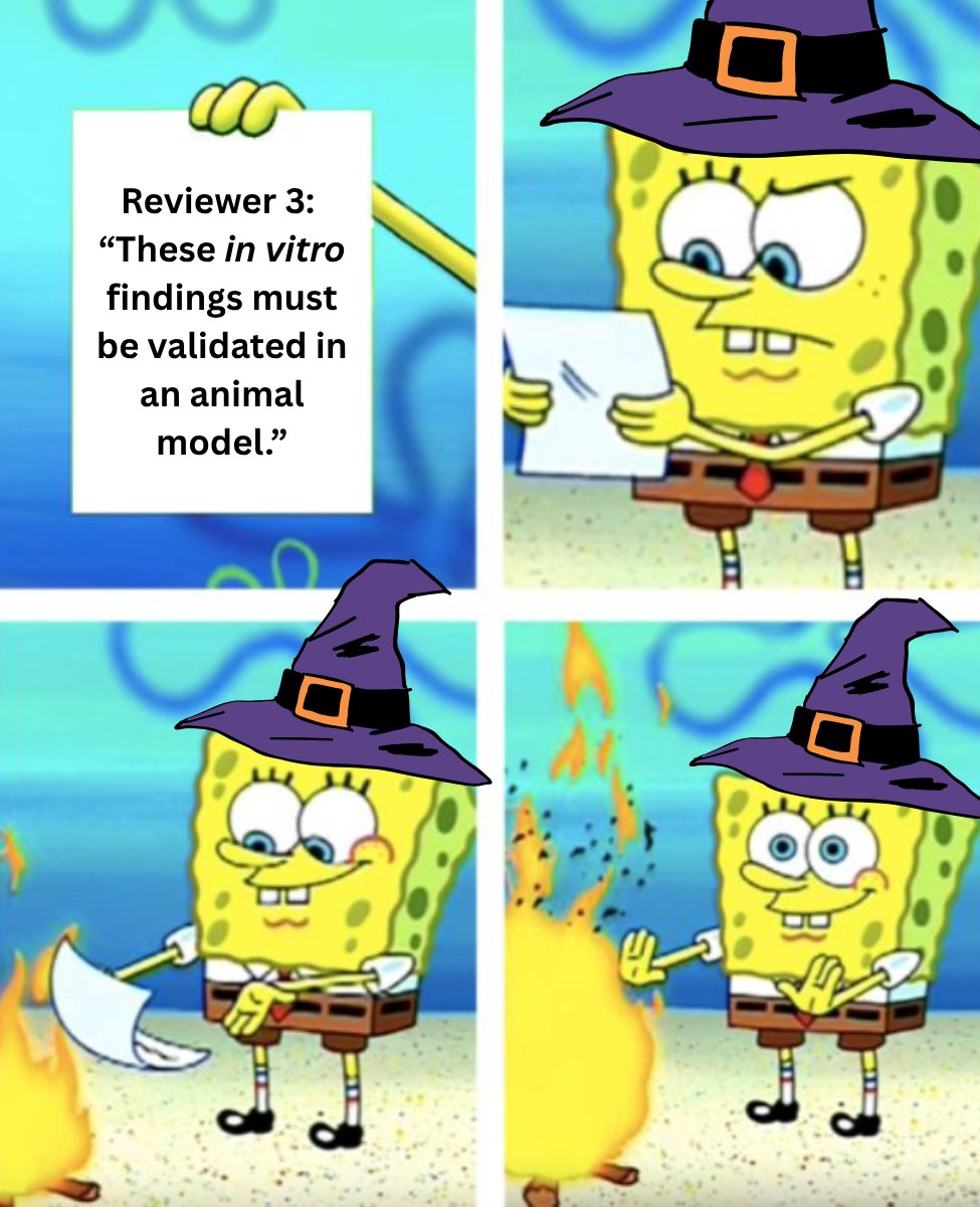 🧛‍♂️ Happy Halloween! What’s scarier than a bad review?

🍬 Reviewers handing out ‘add animal experiments’ comments like candy—even when your human-based study is solid.

👻Don’t let #AnimalMethodsBias haunt your next paper. Learn how to protect your work: animalmethodsbias.org