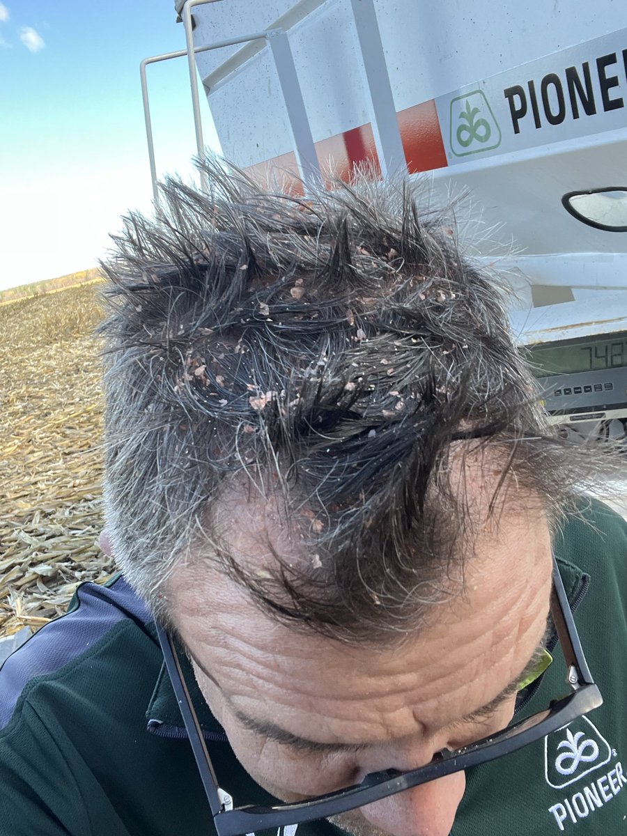 The Hermanator! (Paul Hermans) tweet media