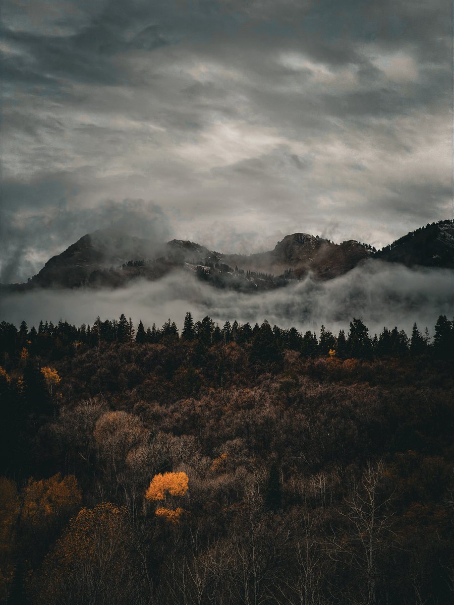 V_irvin_V's tweet image. I am free and that is why I am lost