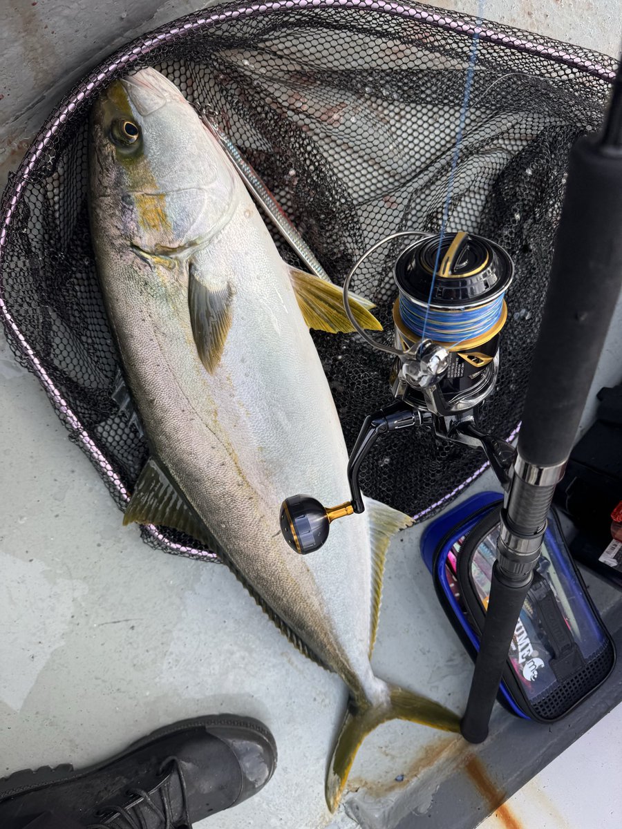 🐟️フィッシングガイド勝栄丸🎣🚢 on X