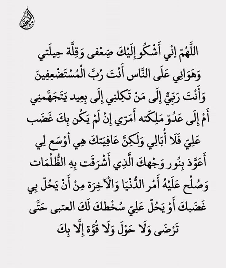 zkrk_'s tweet image. 