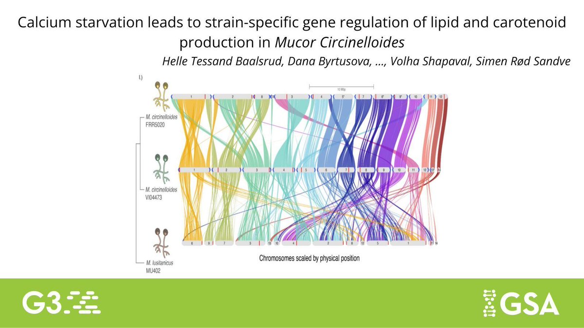Genetics Society of America tweet media