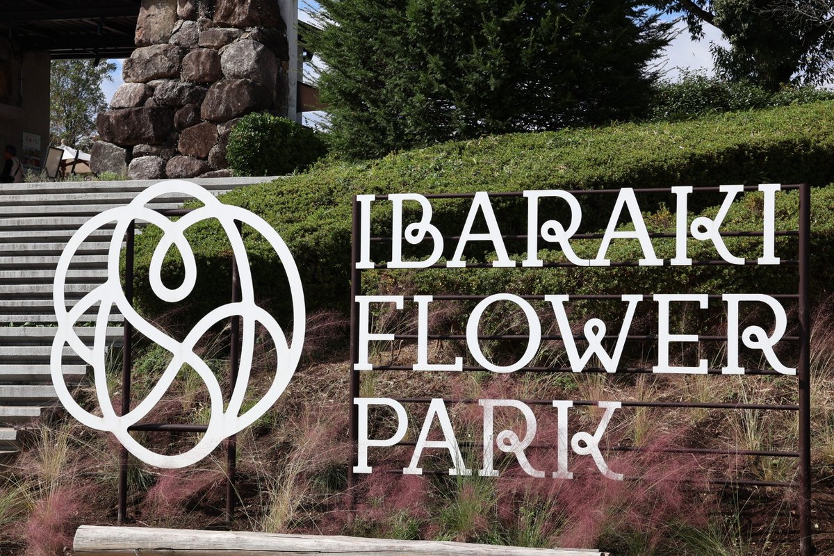 はる日和🌸 (@haruhiyori48) / Posts / X