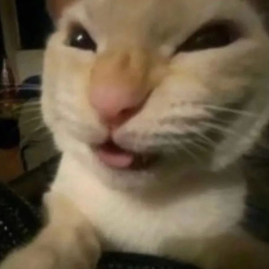 Mecha_Egirl's tweet image. Pretending or even trying to fix/attack the most beloved person in #Malware and the #CyberSecurity #cybertech community is prob the dumbest move in history. @vxunderground Smelly might not do anything or reply, but it&apos;s the fastest way to get a bunch of #Cat loving #Nerds to.