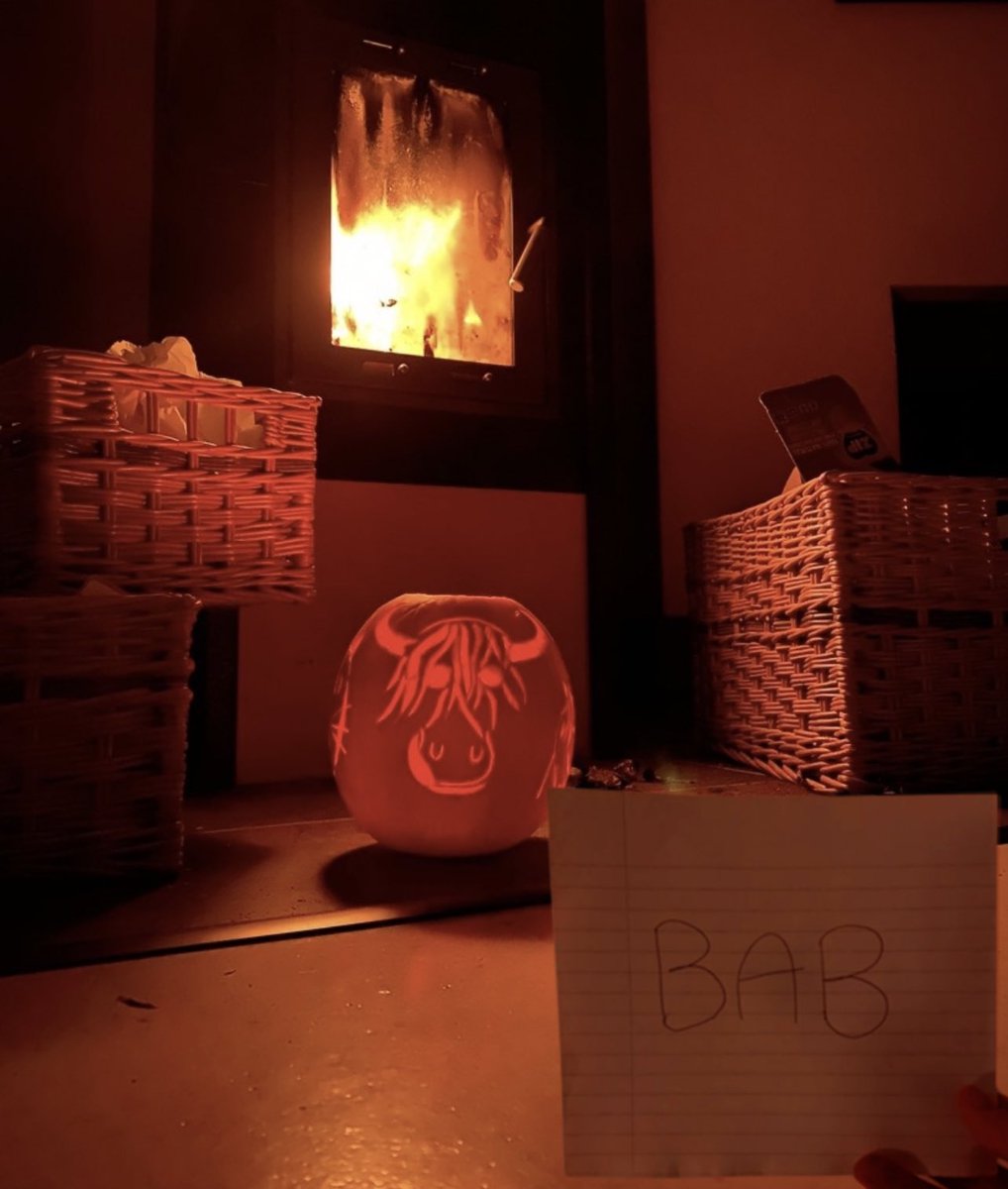 My entry to the <a href="/bobbameofficial/">Bobba</a> pumpkin carving contest. It is one of my highland cows. The pumpkin design has a Habbo pet on each side which can be seen below this post and includes a cat, a horse and Pippin the Pig. <a href="/HabboOrigins/">Habbo Hotel: Origins</a> #Habboween