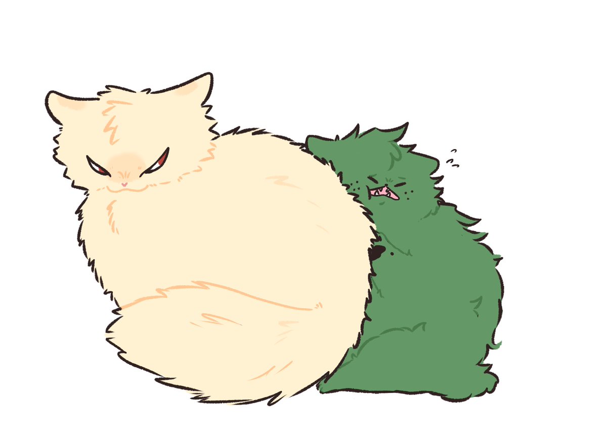 出勝 dkbk
Squished