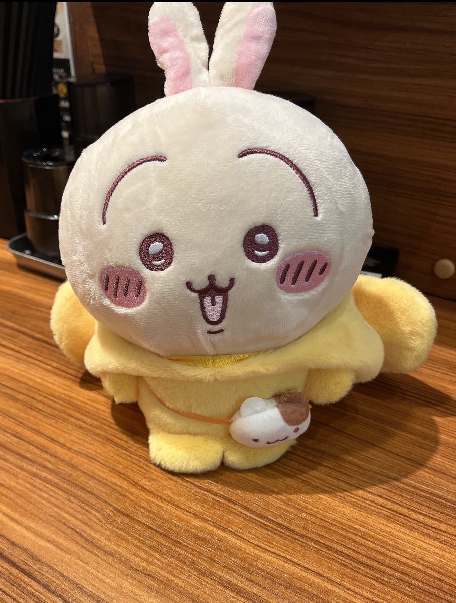 Pompom さん Pompomさん Pompomさん Pompomさん pom pom】 Z X POM | 1G CARTRIDGE