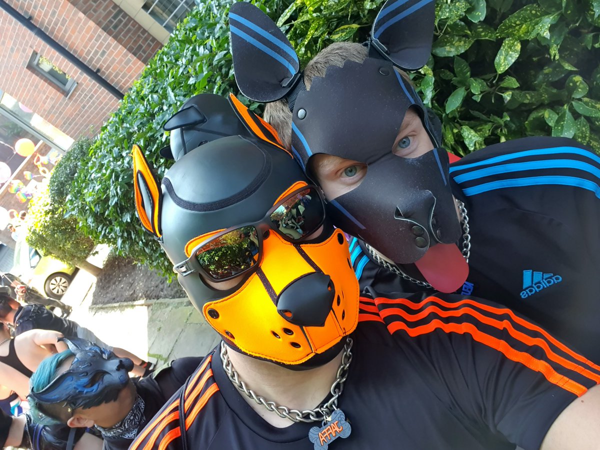 Pup Jaffa tweet media