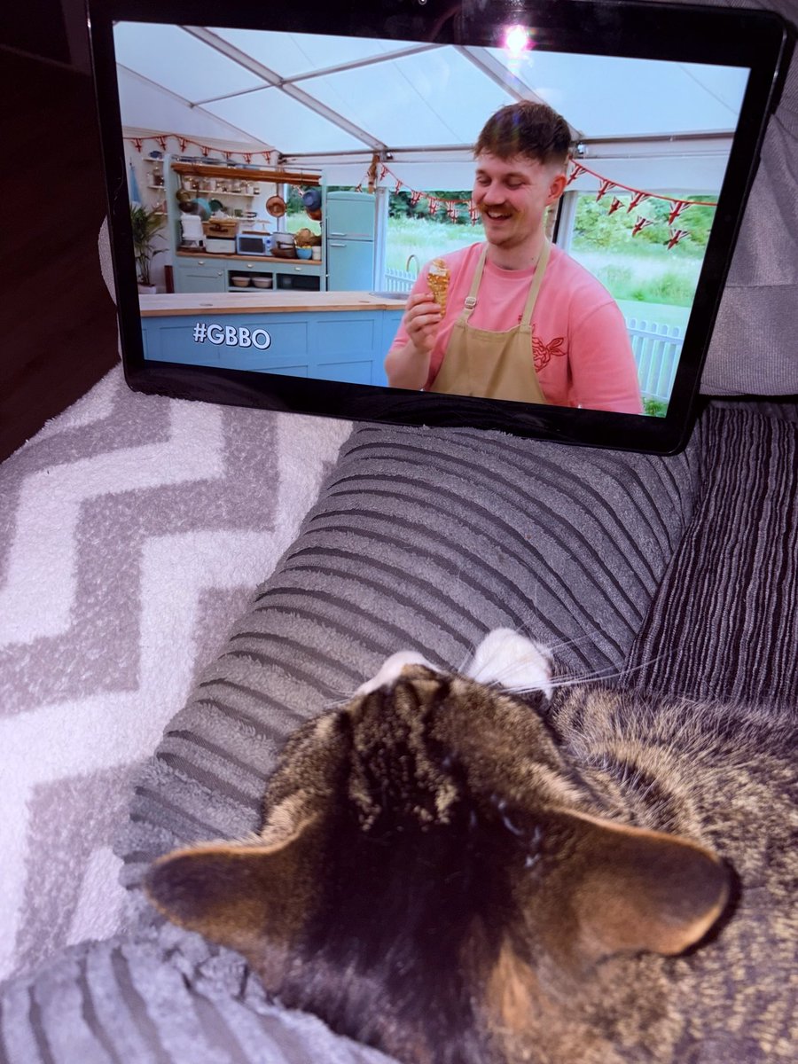 Her favourite night of the week🐈‍⬛🎂#GBBO