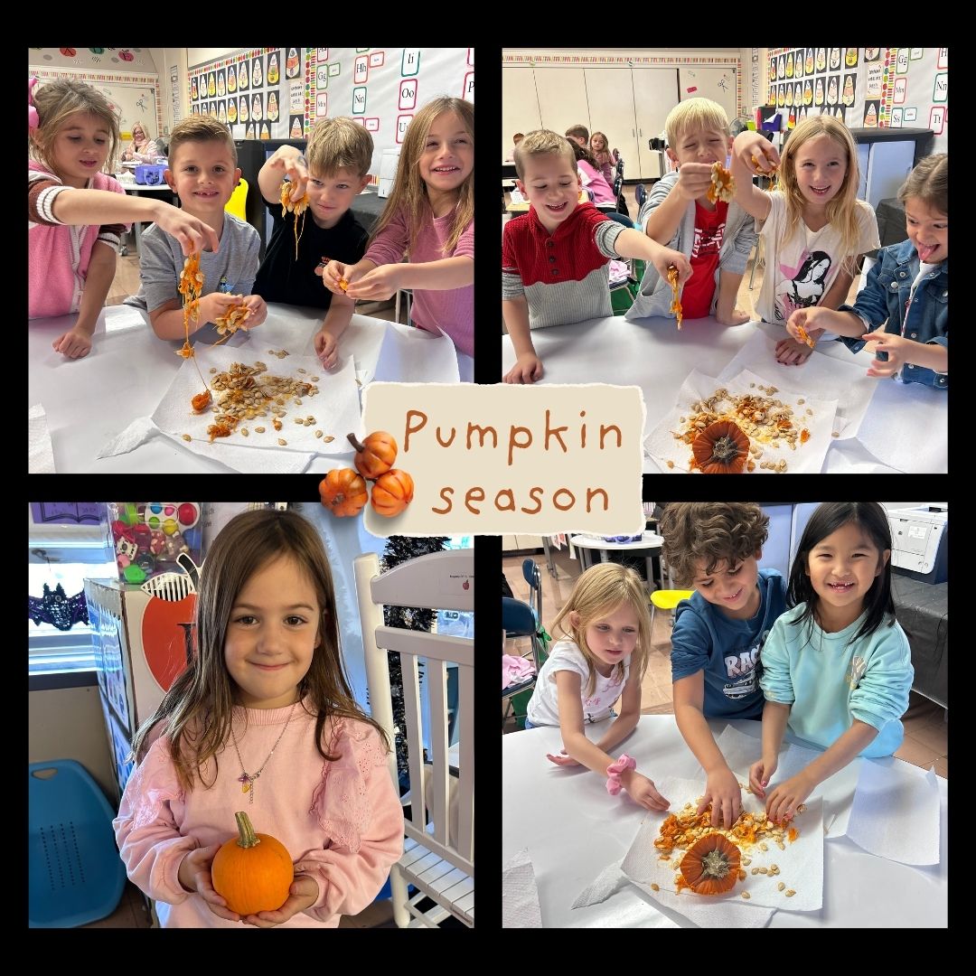 Our young scientists took hands-on learning to a whole new level! From exploring the gooey insides to counting seeds and making observations, our students’ faces were full of surprise, curiosity, and pure joy. It's moments like these that remind us how powerful experiential