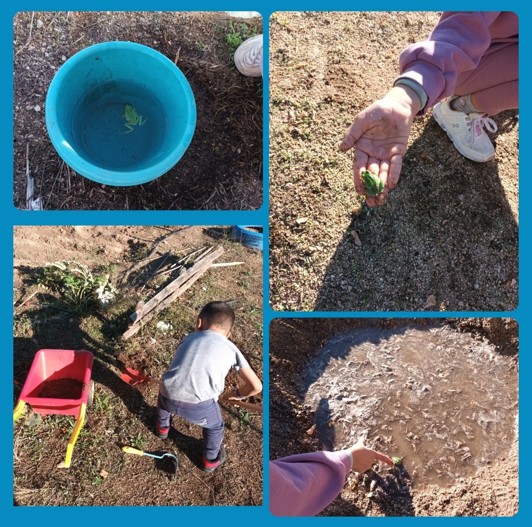 CraYeltes's tweet photo. Como se lo pasan nuestros niños/as en el huerto!!!!🐸Este lunes con sorpresa!!! @CFIE_CR @educacyl https://t.co/bUIhZ9YZZ2
