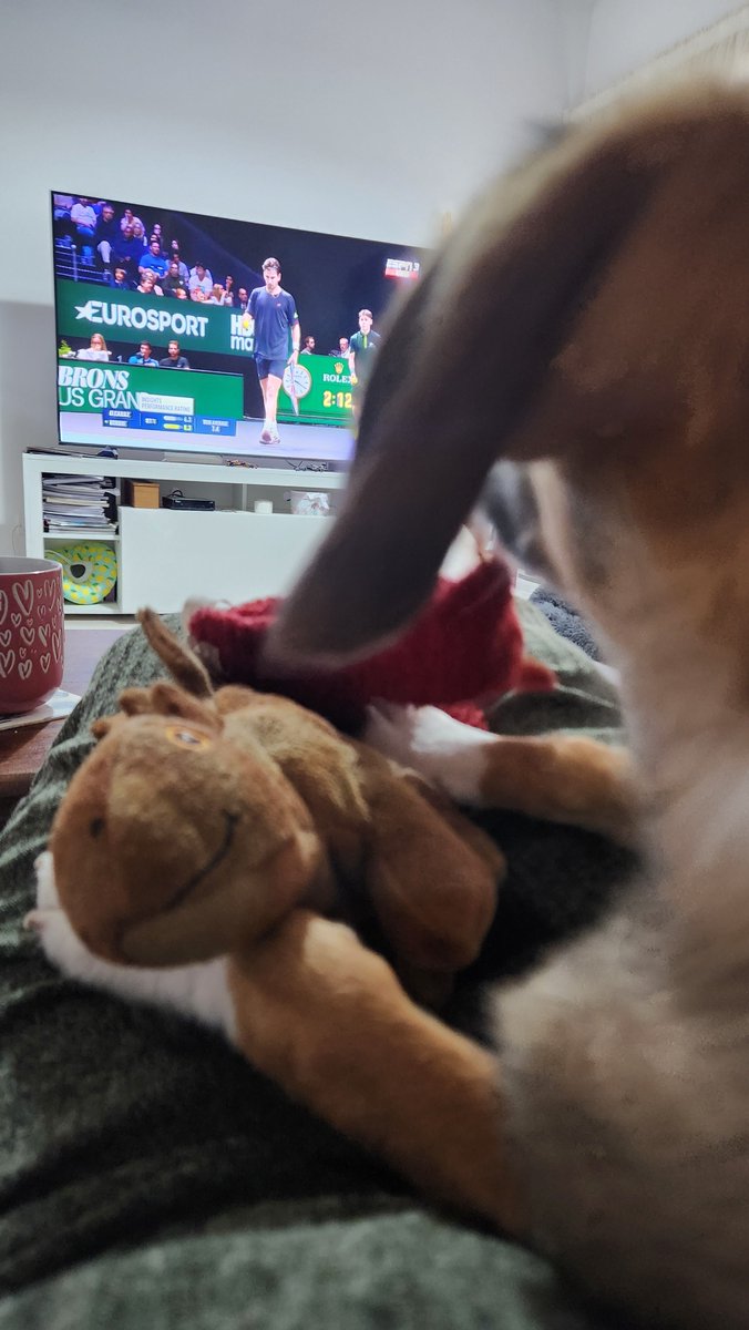 Mirando Alcaraz-Norrie, se puso nerviosho Roger 😂😂😂