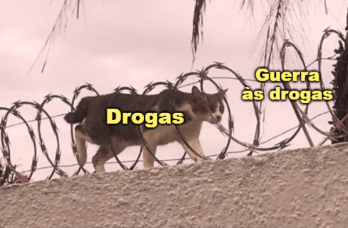 Se as drogas estivessem descriminalizadas nada disso estaria acontecendo.